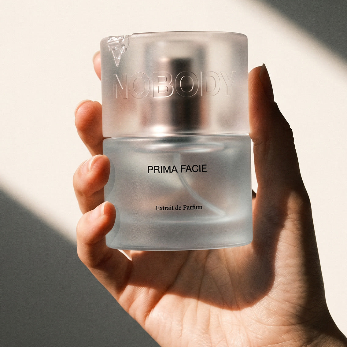 Prima Facie held in hand